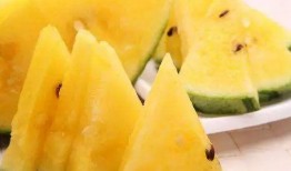 吃瓜黑料,吃瓜黑料背后的真相与反思